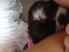 A dog gives its pussy to a woman to take up with her tongue in order to give her pleasure.